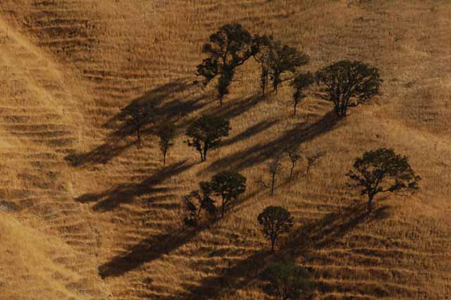 Corral Hollow Road